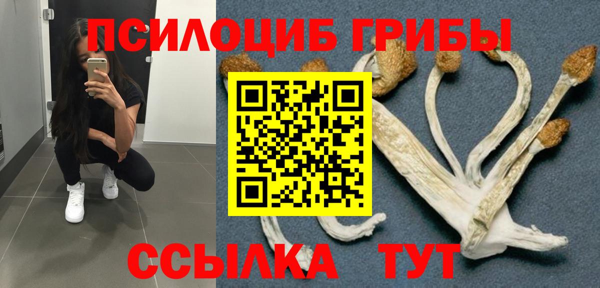 Галлюциногенные грибы мицелий  Вход с VPN  Галлюциногенные грибы мухоморы  Шебекино 